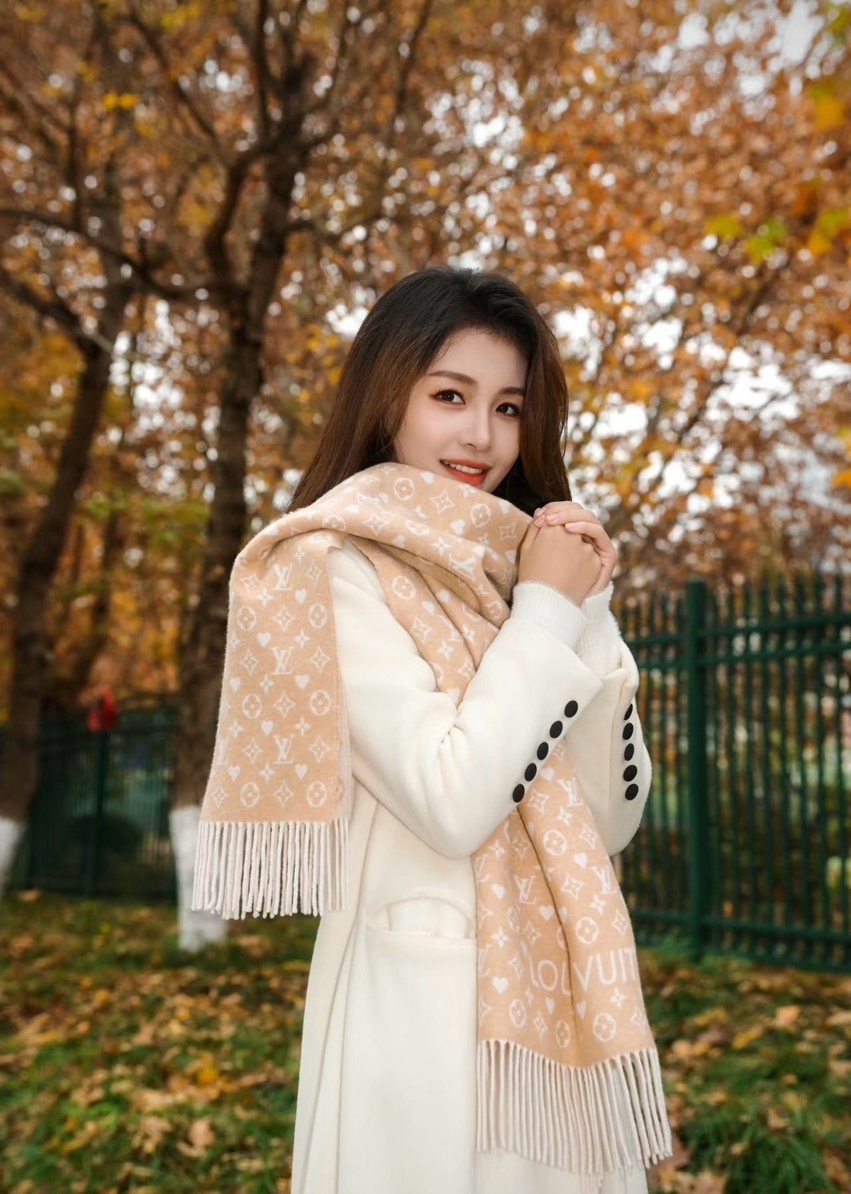 Louis Vuitton Taupe Monogram Fringe Scarf